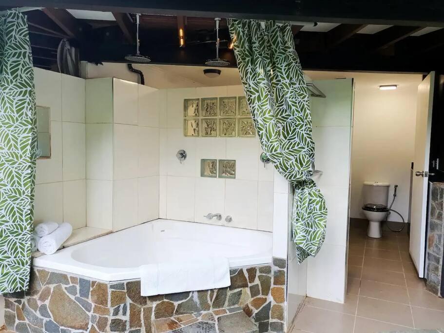 Treeverb Beach House - Daintree Cow Bay Exterior foto